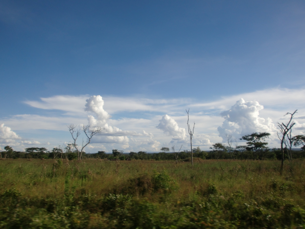 f:id:tomoaki-mikami:20161230195743j:plain