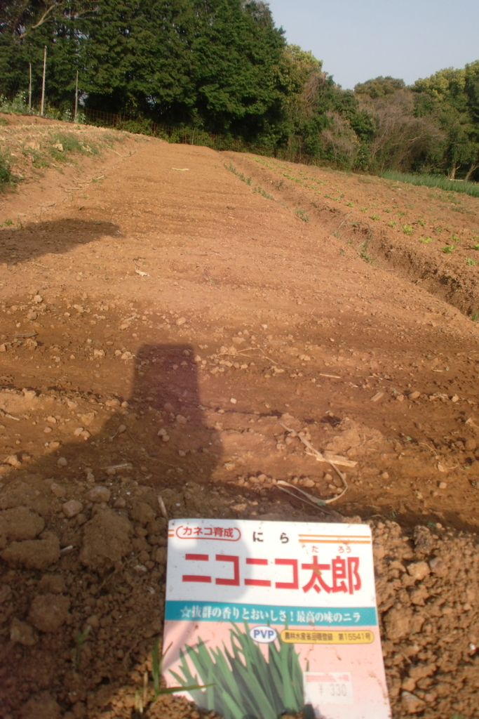 f:id:tomoaki-mikami:20180405202831j:plain