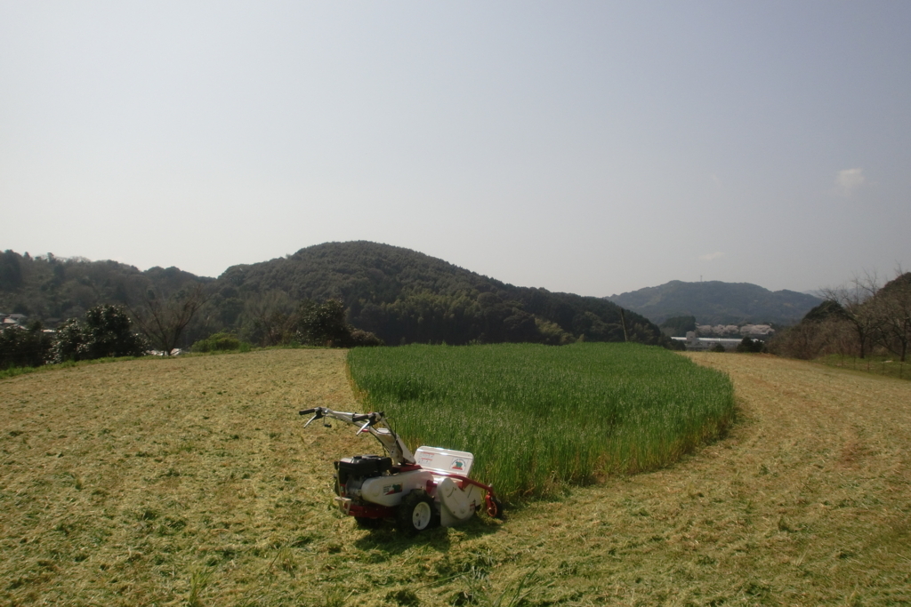 f:id:tomoaki-mikami:20180405203708j:plain