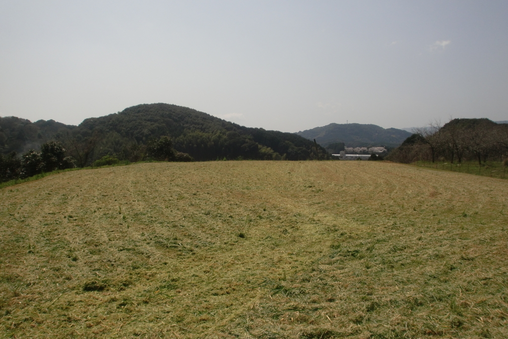 f:id:tomoaki-mikami:20180405203736j:plain