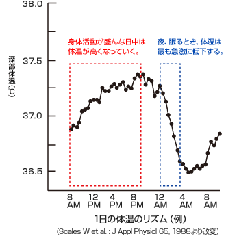 f:id:tomobataraki-system:20201106180209p:plain