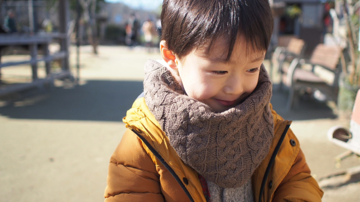 f:id:tomobataraki-system:20201223123035j:plain