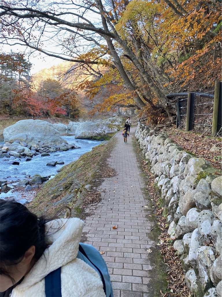 f:id:tomobeam:20210326225340j:image
