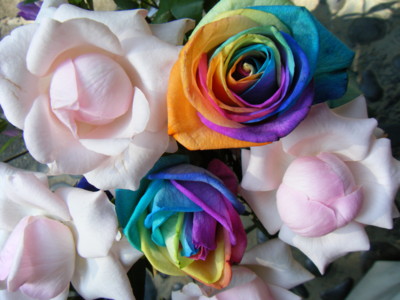 f:id:tomobee:20100922133606j:image