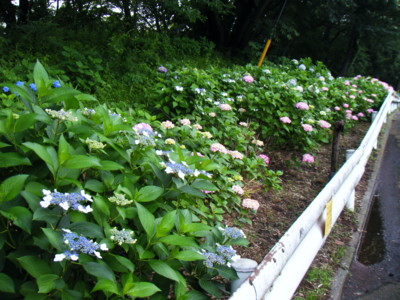 f:id:tomobee:20110613175138j:image