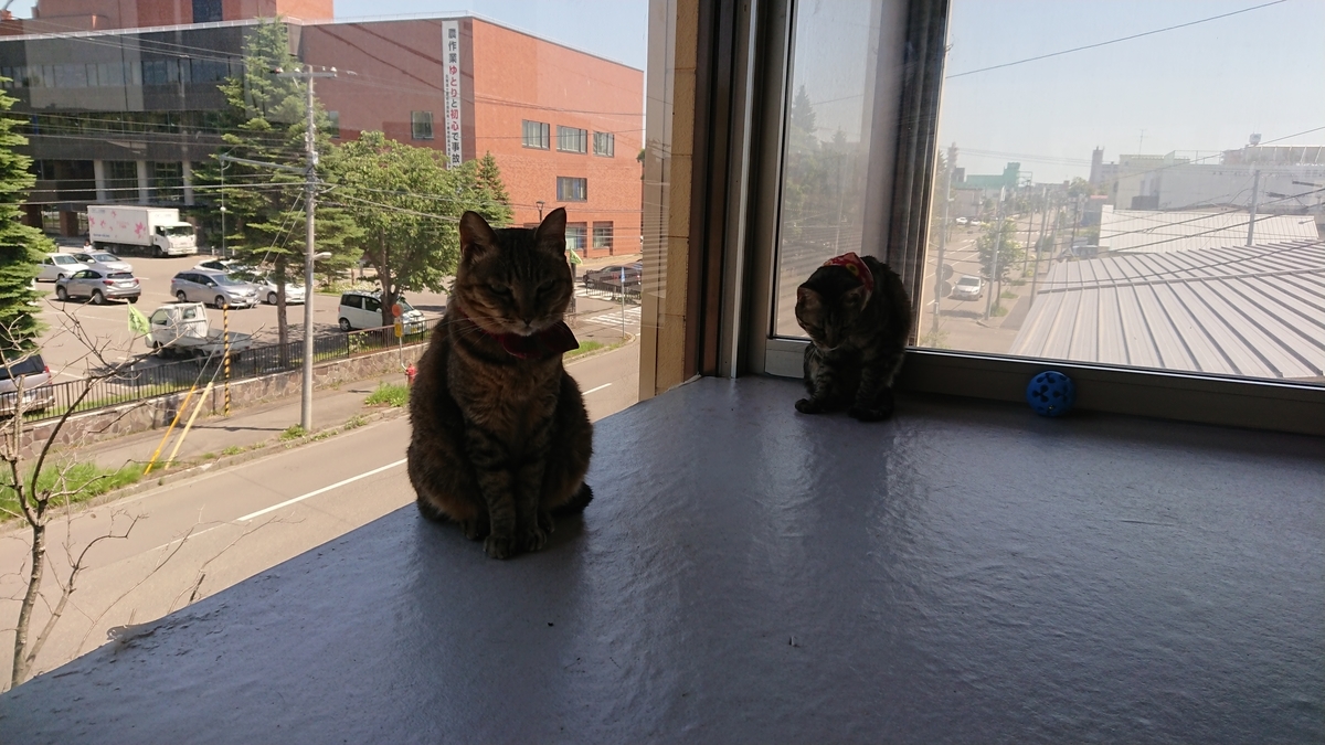 f:id:tomobts:20190626150538j:plain f:id:tomobts:20190626150538j:plain