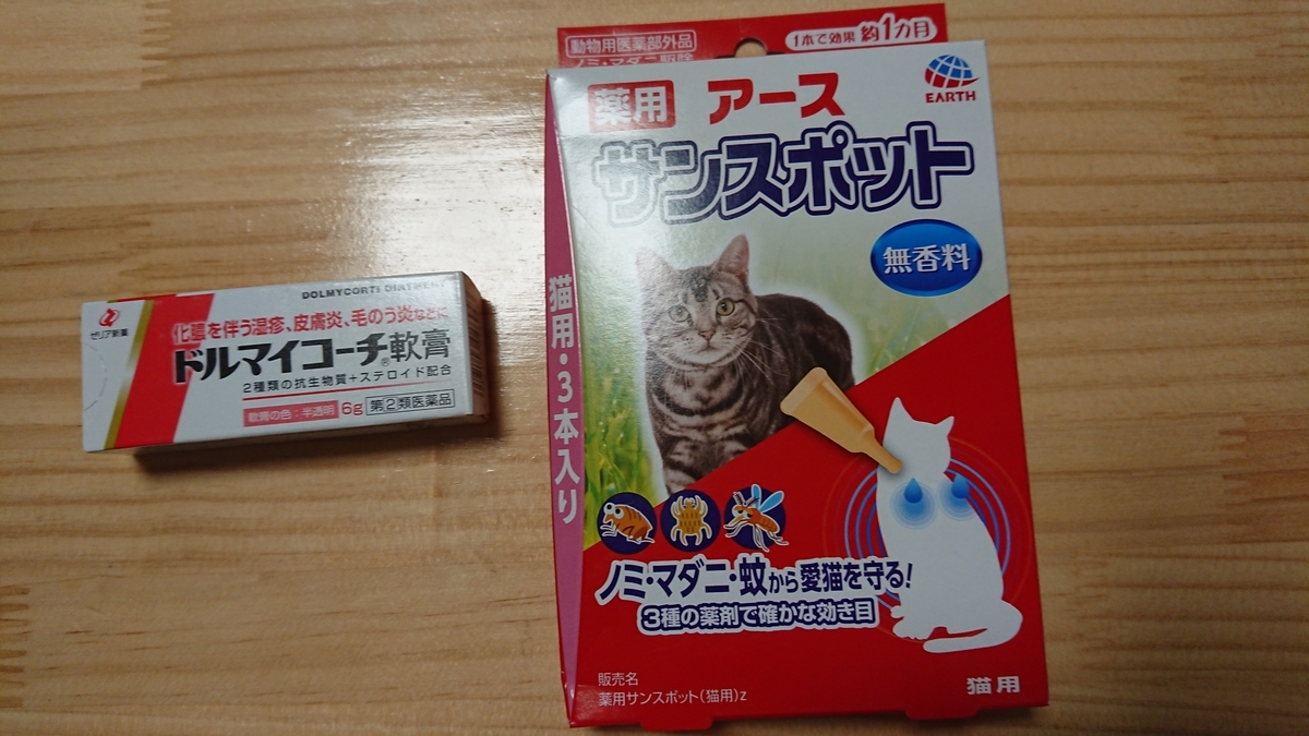 f:id:tomobts:20190629184919j:plain f:id:tomobts:20190629184919j:plain