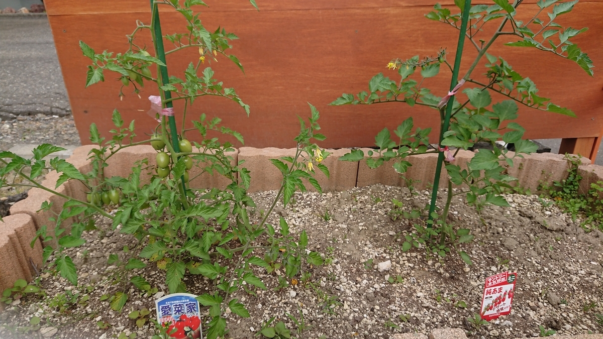 f:id:tomobts:20190710152503j:plain f:id:tomobts:20190710152503j:plain