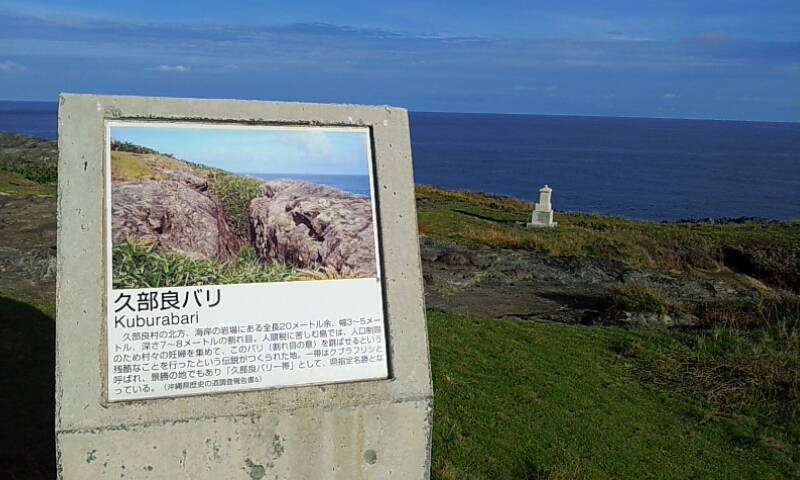 イメージ 14