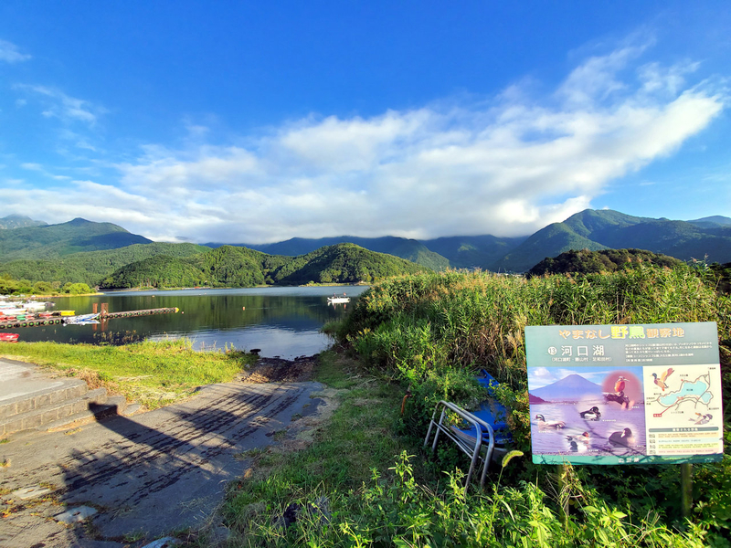 f:id:tomoca2:20190921073603j:plain