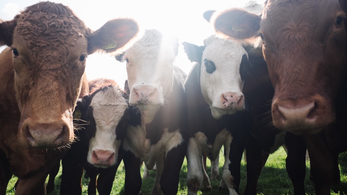 f:id:tomocha1969:20220401143449j:plain