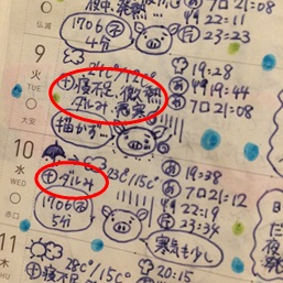f:id:tomochibi:20170620145901j:plain f:id:tomochibi:20170620145901j:plain