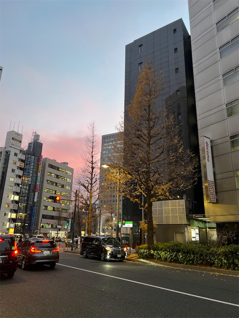 f:id:tomochimochi:20240111212328j:image
