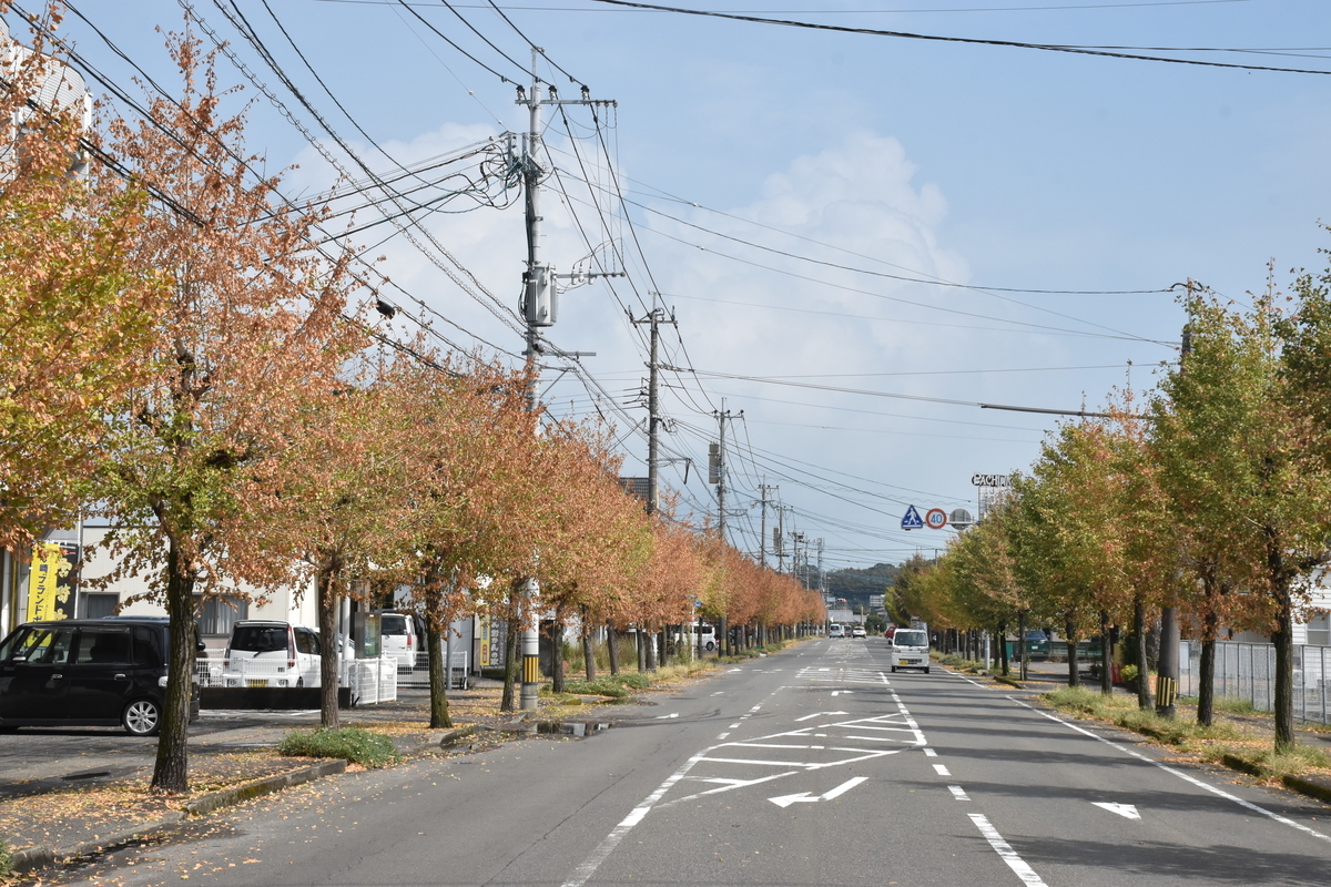 f:id:tomochirotan:20200911112417j:plain