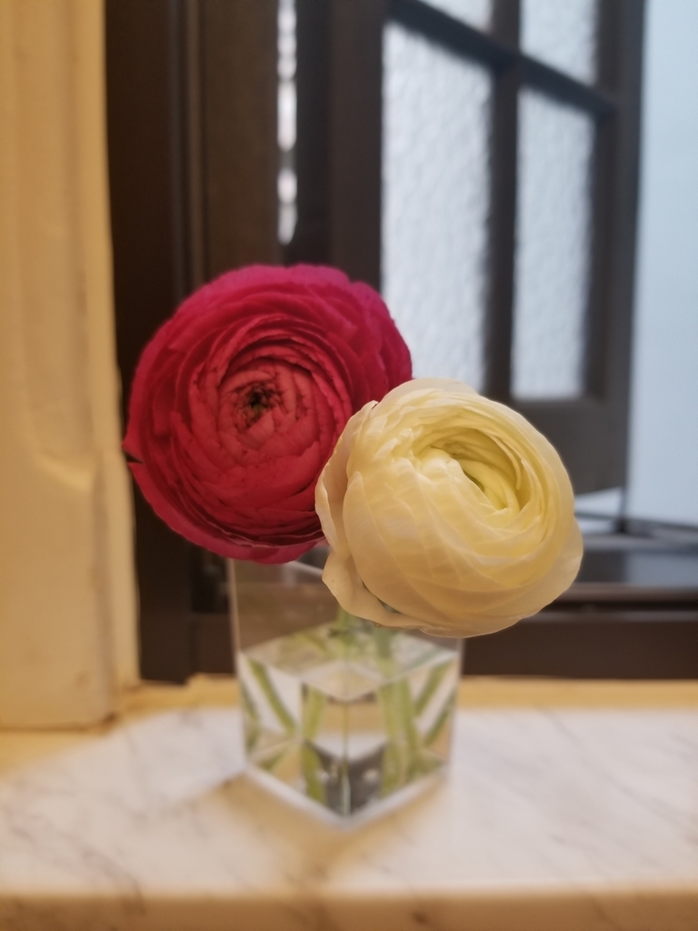 f:id:tomococafe:20190221105836j:plain