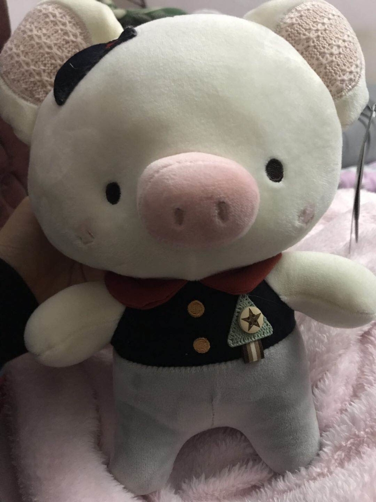 f:id:tomocococo:20190216192636j:plain f:id:tomocococo:20190216192636j:plain