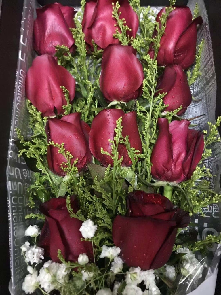 f:id:tomocococo:20190221000132j:plain f:id:tomocococo:20190221000132j:plain