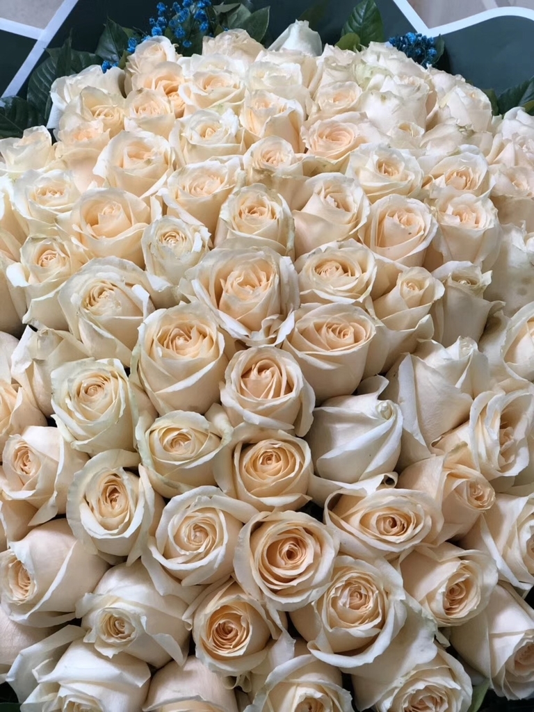 f:id:tomocococo:20190221001111j:plain f:id:tomocococo:20190221001111j:plain