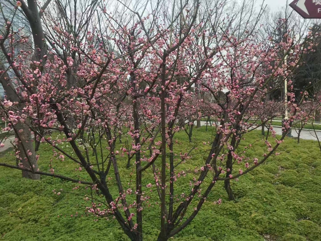 f:id:tomocococo:20190304175913j:plain f:id:tomocococo:20190304175913j:plain