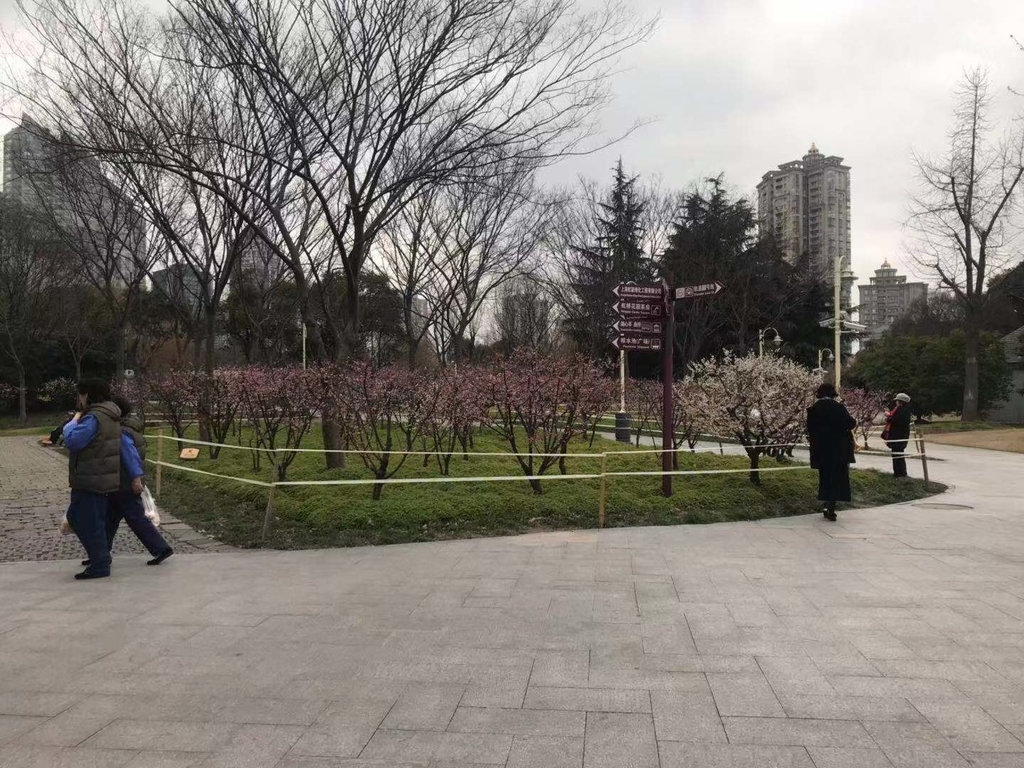 f:id:tomocococo:20190304175956j:plain f:id:tomocococo:20190304175956j:plain