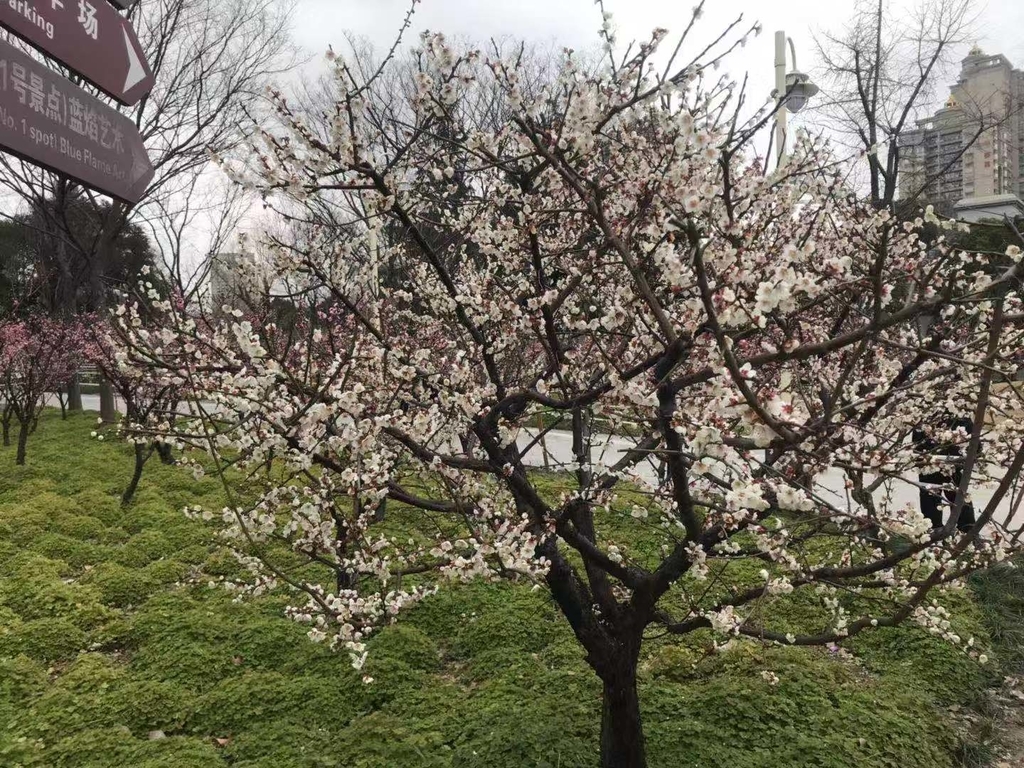 f:id:tomocococo:20190304180800j:plain f:id:tomocococo:20190304180800j:plain
