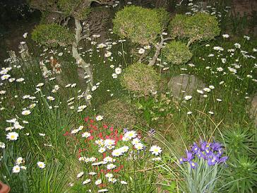 f:id:tomoe1818:20110505055015j:image f:id:tomoe1818:20110505055015j:image