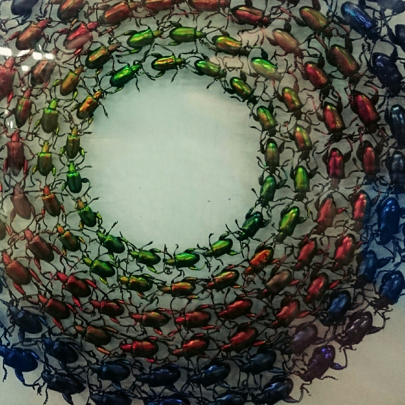 f:id:tomoeagle:20170419061317j:plain f:id:tomoeagle:20170419061317j:plain