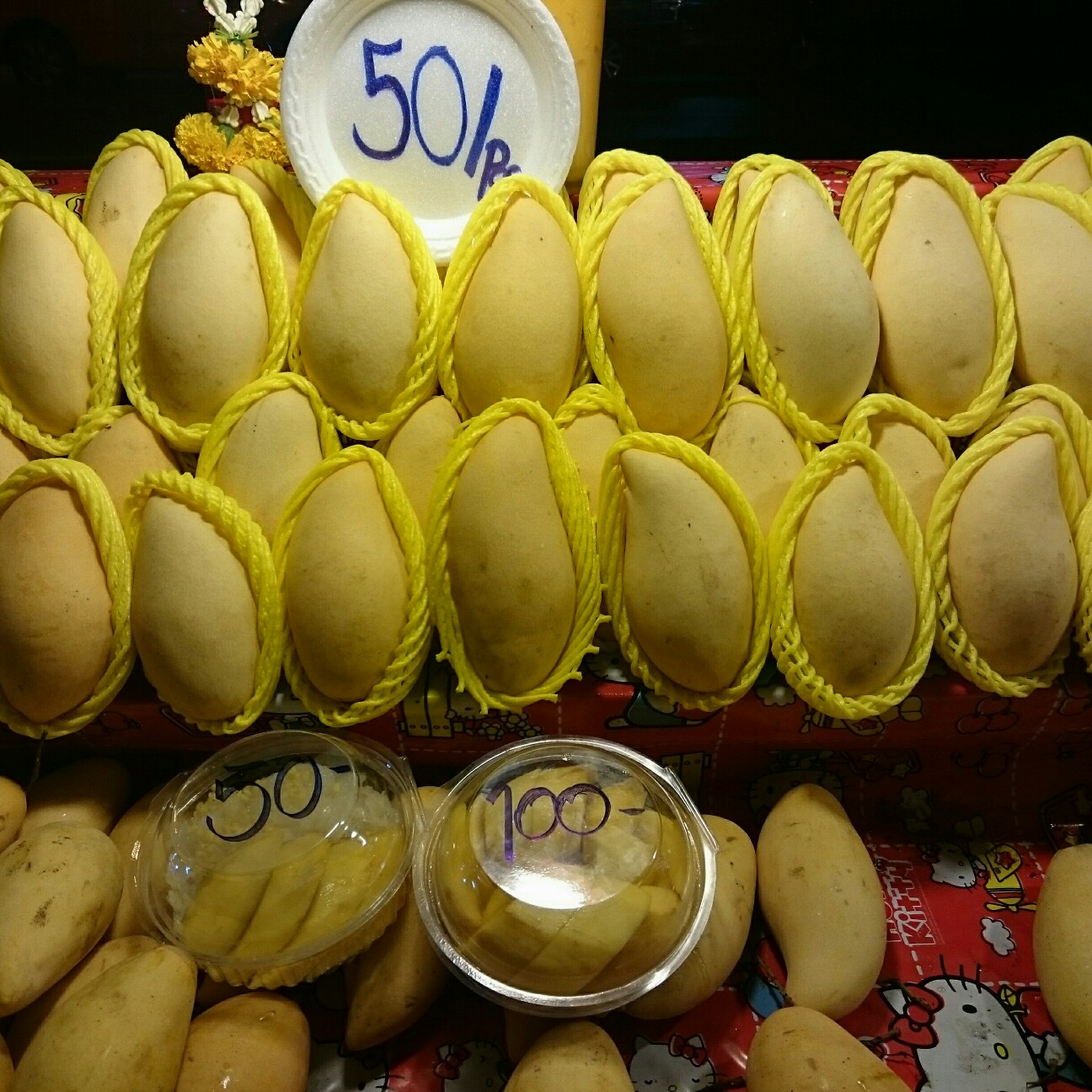 f:id:tomoeagle:20170421055343j:plain