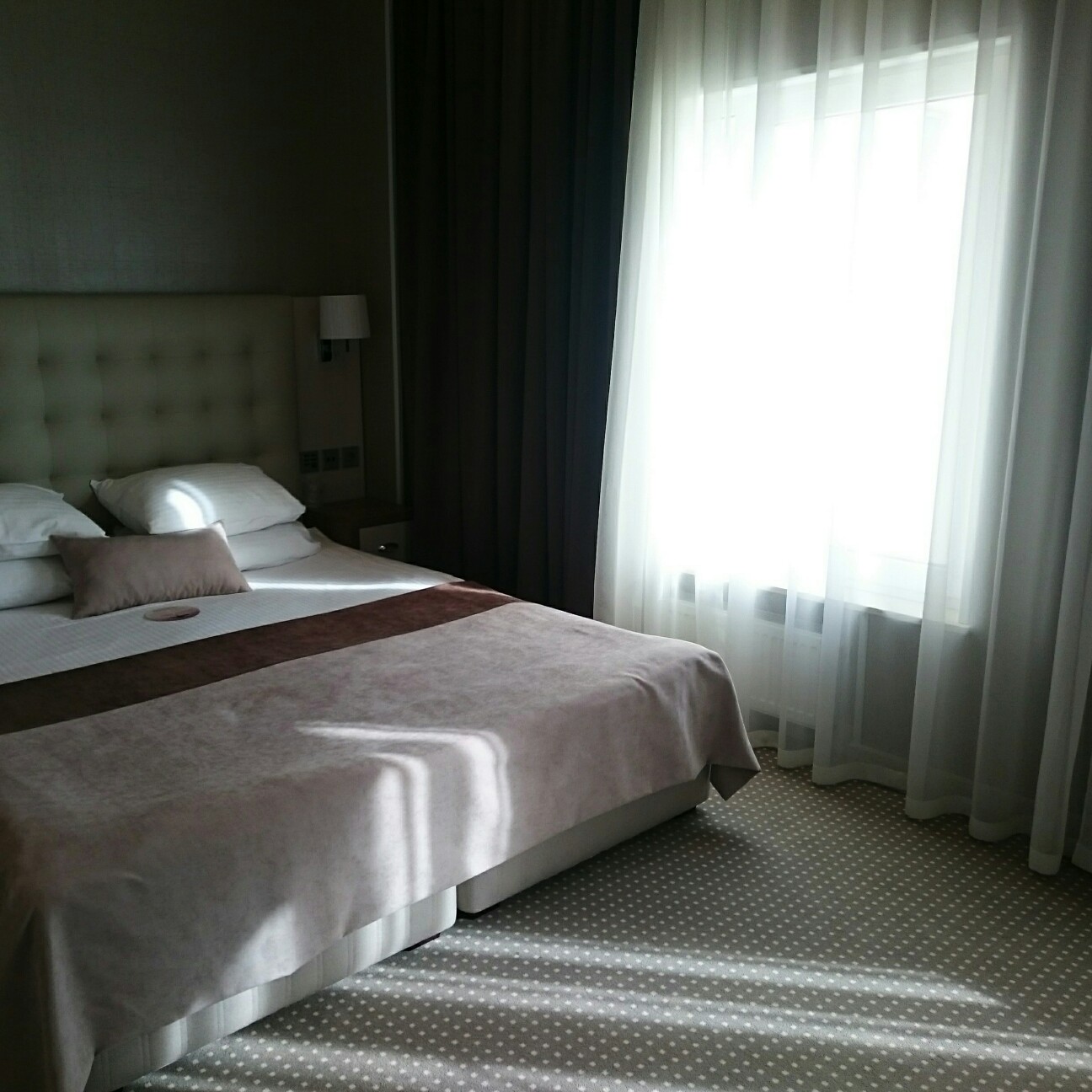 f:id:tomoeagle:20170519092241j:plain