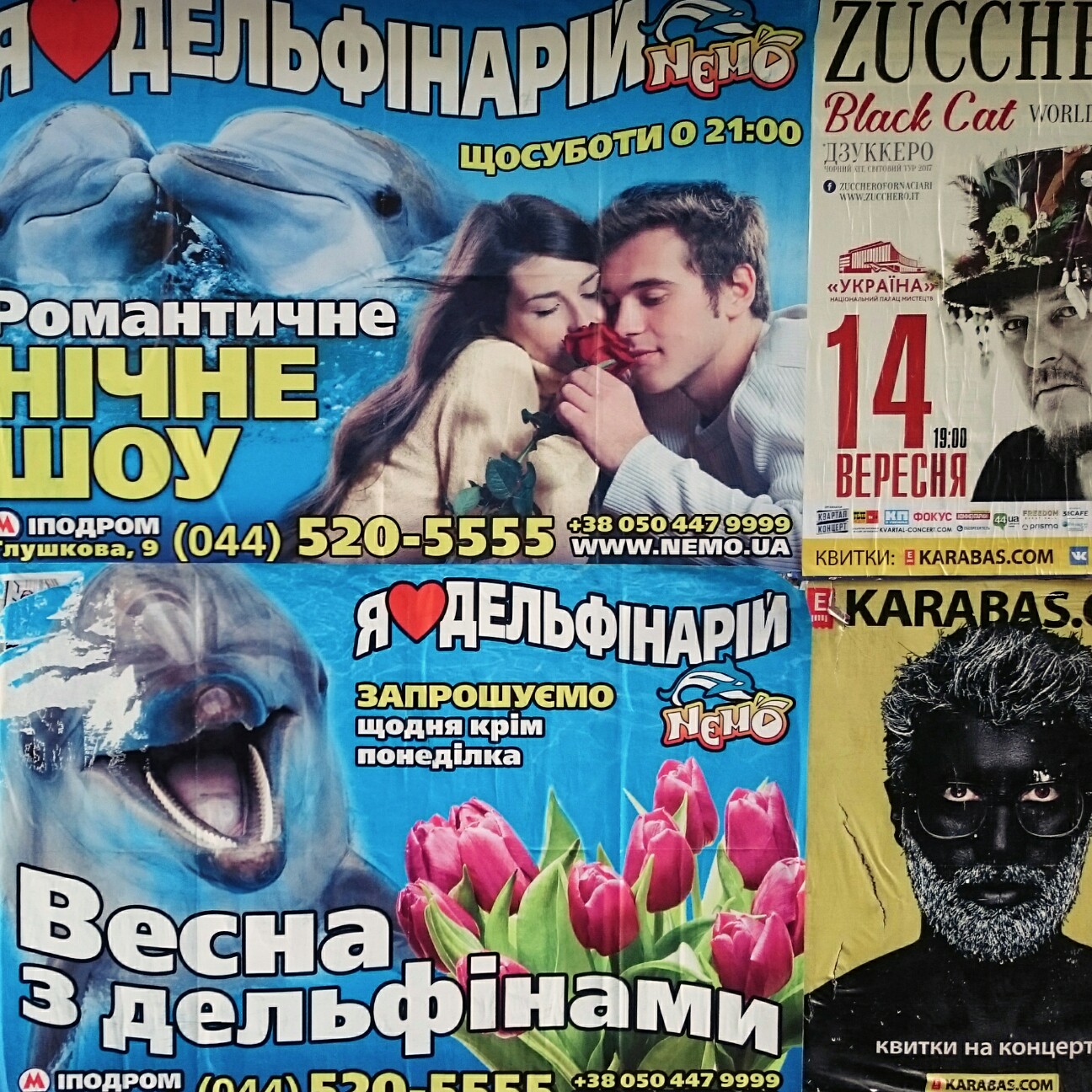 f:id:tomoeagle:20170519092537j:plain