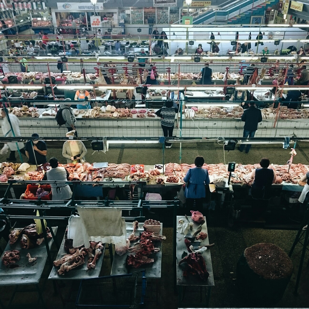 f:id:tomoeagle:20170519221556j:plain