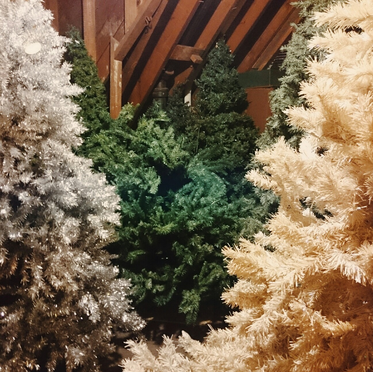 f:id:tomoeagle:20170612224518j:plain f:id:tomoeagle:20170612224518j:plain