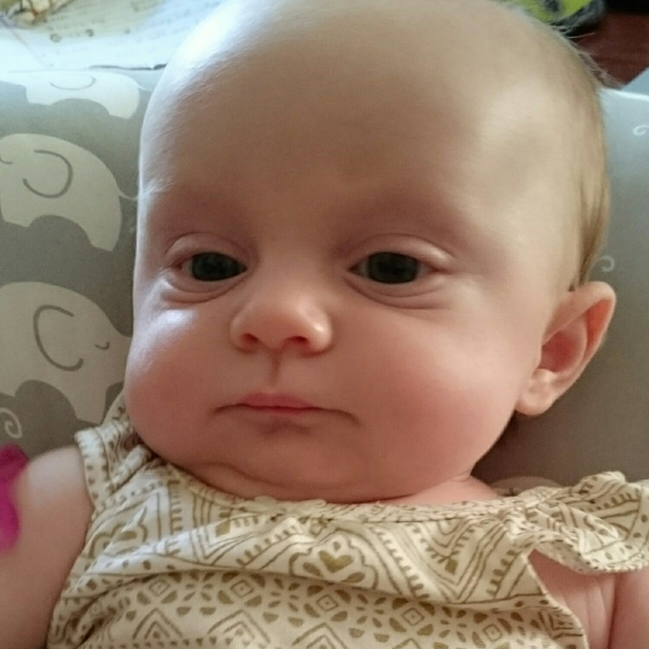 f:id:tomoeagle:20170612225545j:plain f:id:tomoeagle:20170612225545j:plain