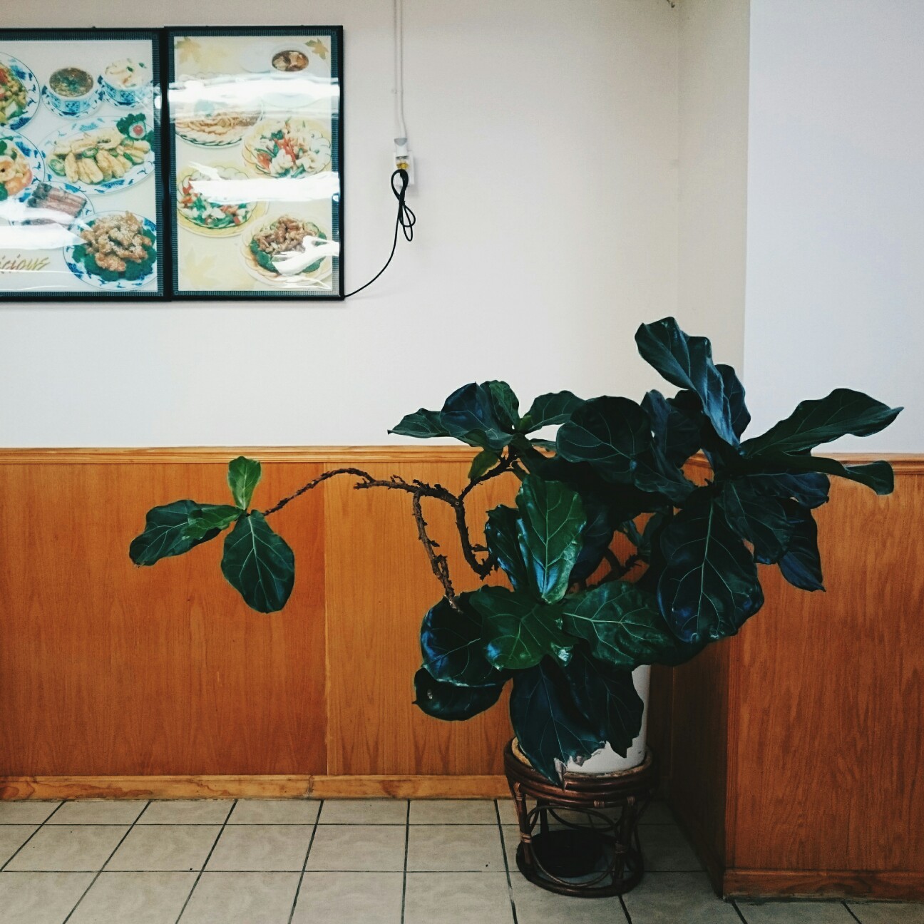 f:id:tomoeagle:20170612225629j:plain f:id:tomoeagle:20170612225629j:plain