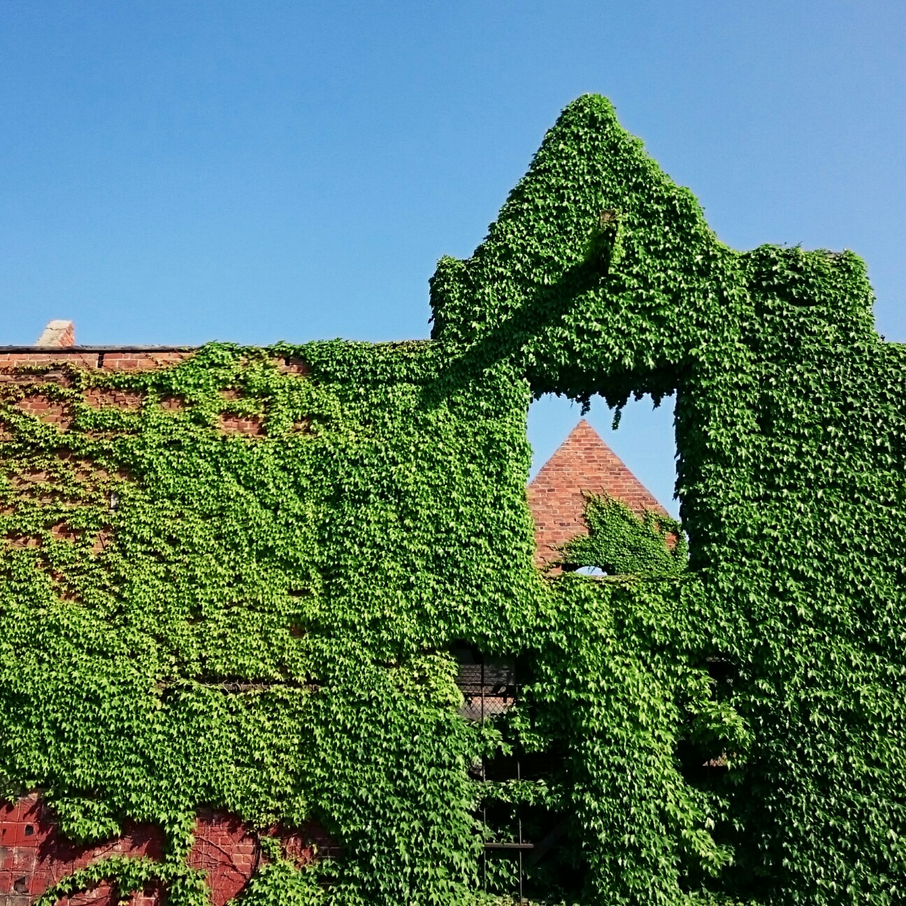 f:id:tomoeagle:20170613113102j:plain f:id:tomoeagle:20170613113102j:plain