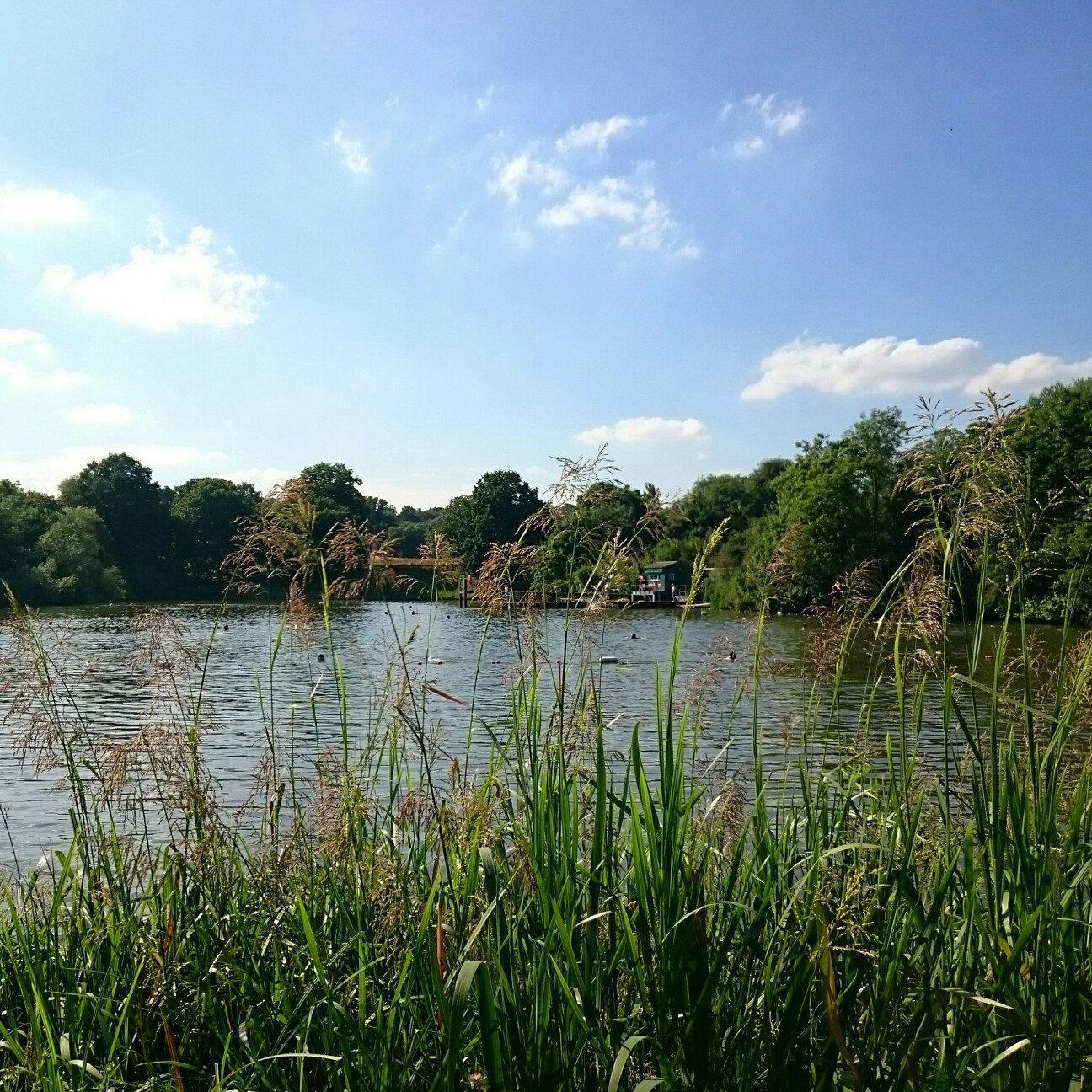 f:id:tomoeagle:20170708235749j:plain