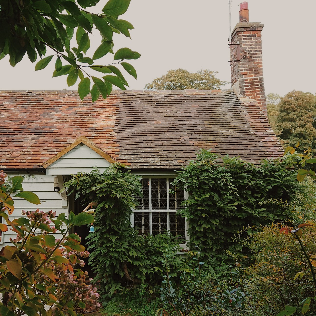 f:id:tomoeagle:20171004062008j:plain