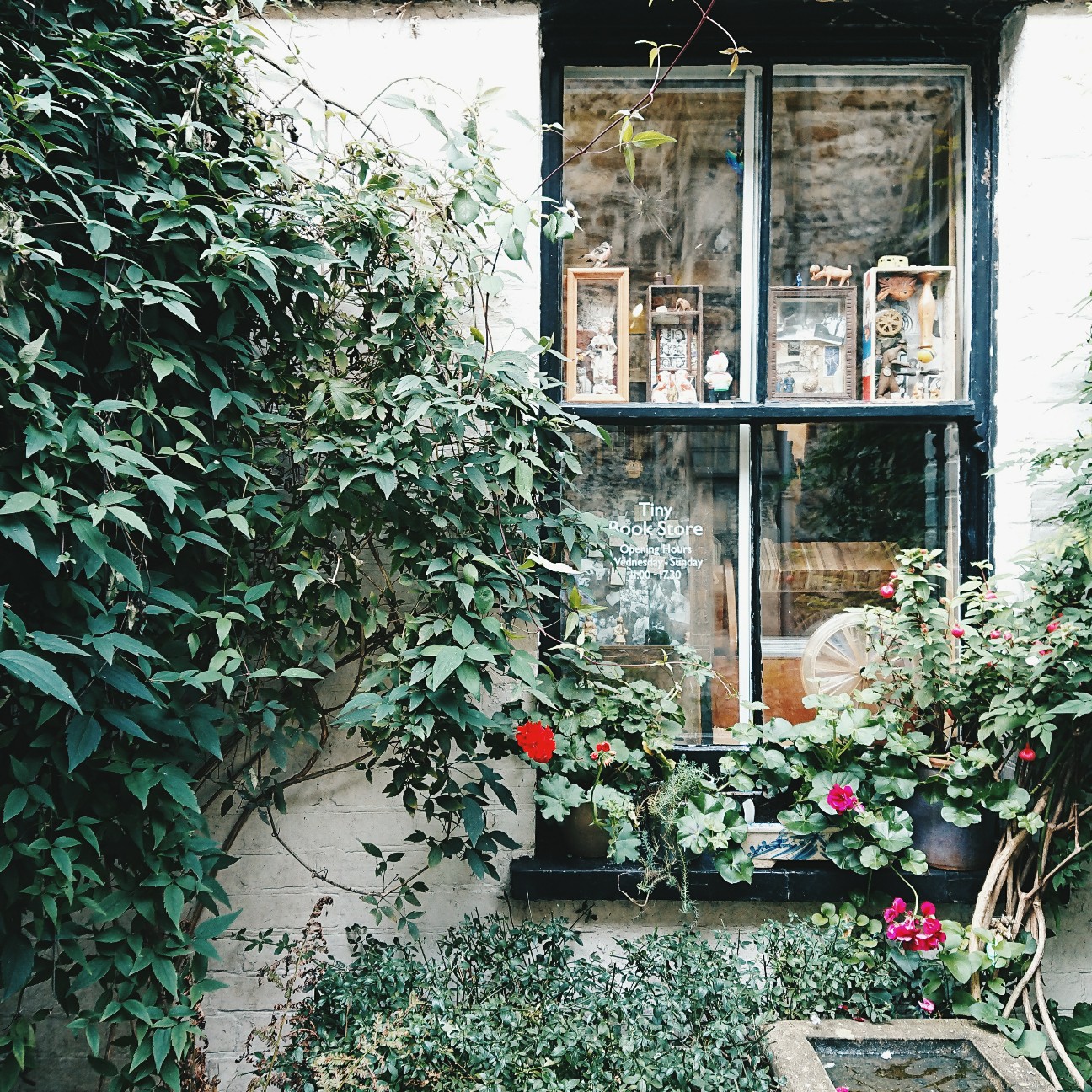 f:id:tomoeagle:20171005051654j:plain