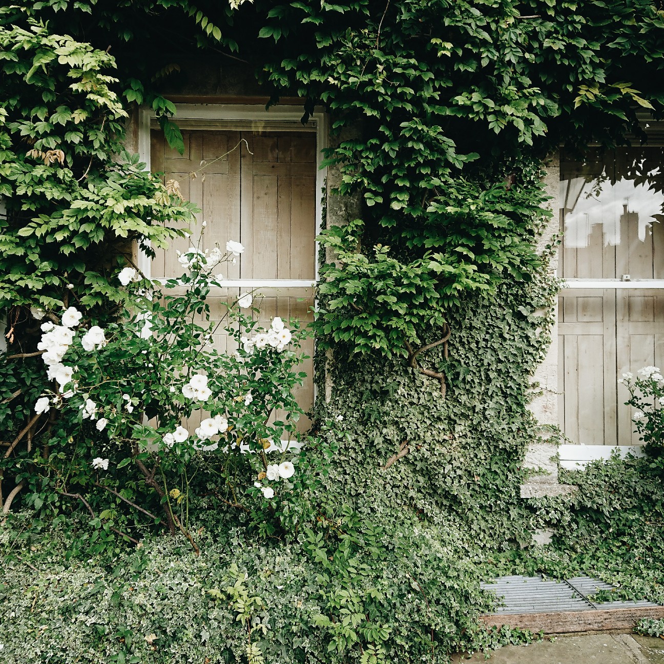 f:id:tomoeagle:20171005051808j:plain