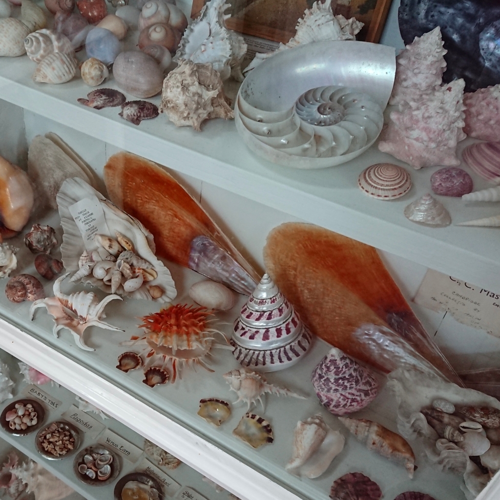 f:id:tomoeagle:20171012041015j:plain