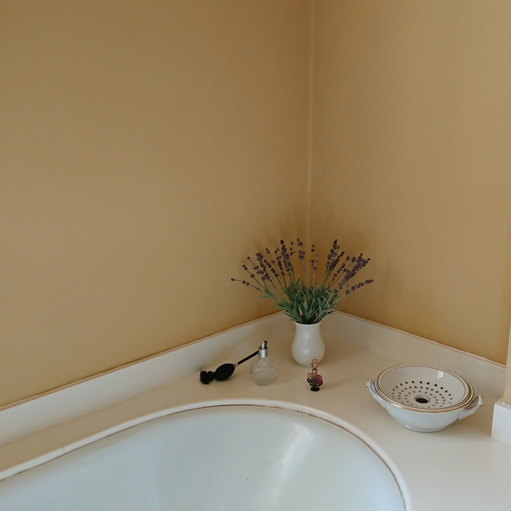 f:id:tomoeagle:20171012043819j:plain