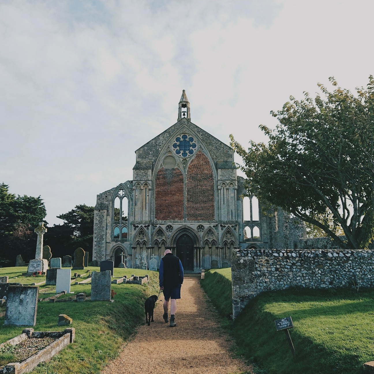 f:id:tomoeagle:20171013053956j:plain