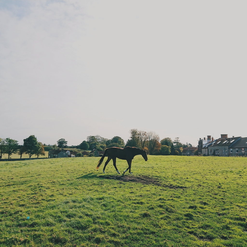 f:id:tomoeagle:20171013061222j:plain