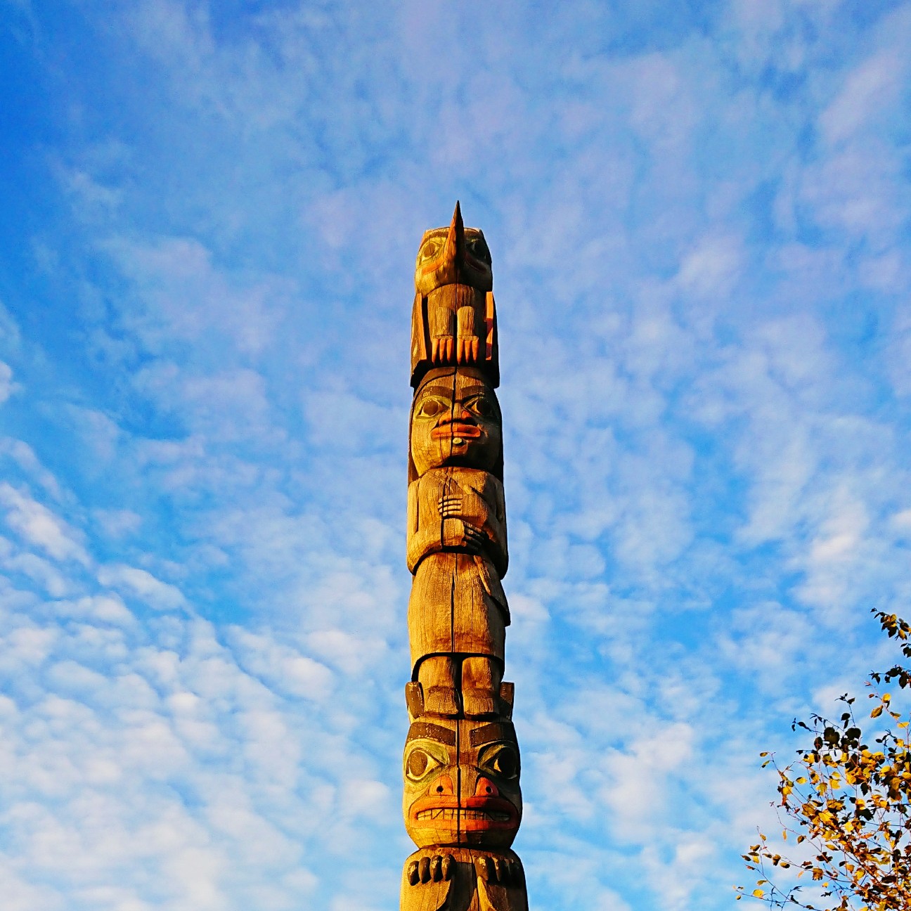 f:id:tomoeagle:20171026061034j:plain