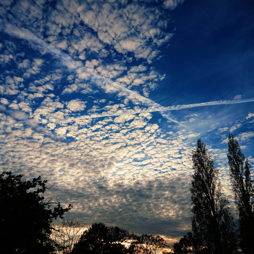 f:id:tomoeagle:20171026070547j:plain