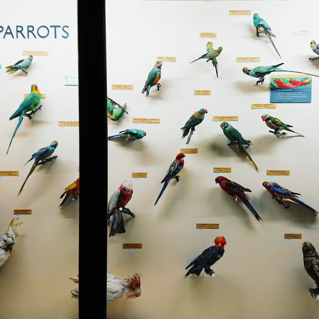 f:id:tomoeagle:20171026071248j:plain