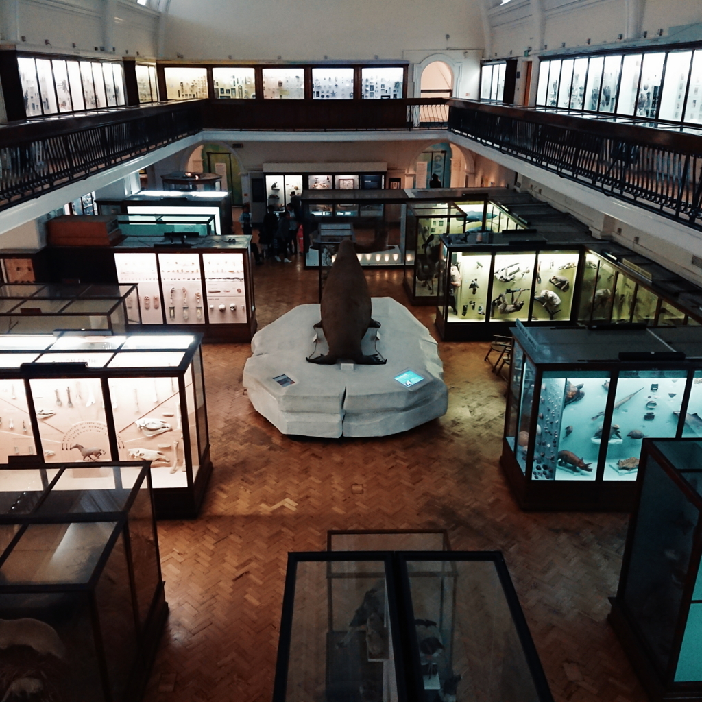 f:id:tomoeagle:20171026071252j:plain