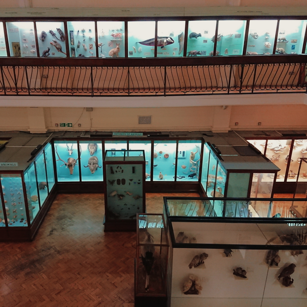 f:id:tomoeagle:20171026071339j:plain