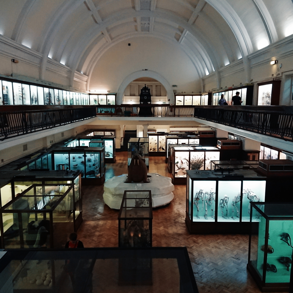 f:id:tomoeagle:20171026071401j:plain