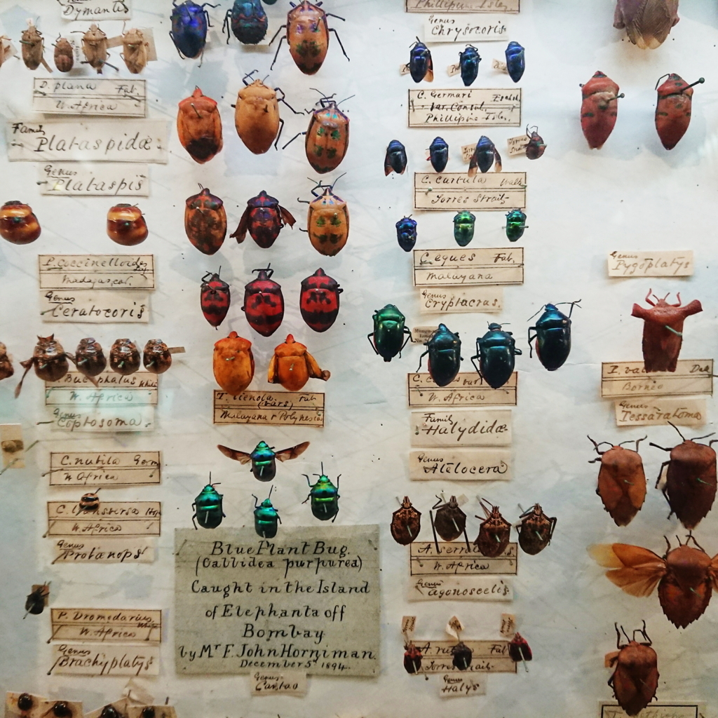 f:id:tomoeagle:20171026071924j:plain